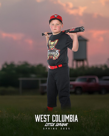 JR MINOR CHIHUAHUAS_Duke_Hal_WC010652_TRUCKS_
