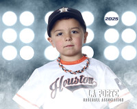 5U_Shetland_Astros_Cantu_Cruz_LP010833_LIT