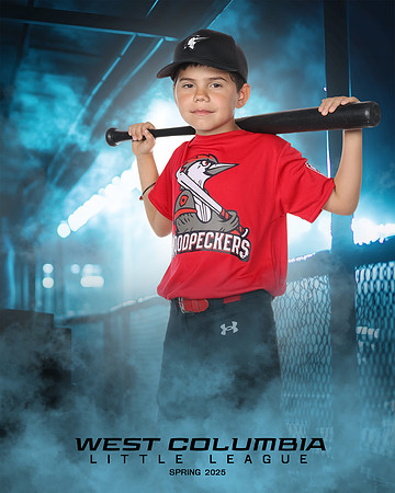 JR MINOR WOODPECKERS_Solis_Slayton_WC010976_DUGOUT_