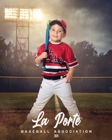 4U_Foal_Cardinals_Totten_William_LP022582_FIELDLIGHTS
