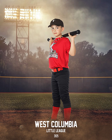 JR MINOR WOODPECKERS_Thomas_Hudson_WC010984_FIELD LIGHTS_