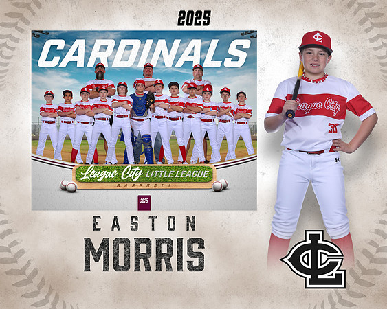 MJR.Powell.Cardinals_Morris_Easton_143A1840_MM