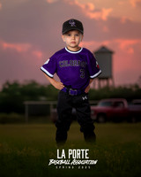 4U_Foal_Rockies_Shearfield_Carver_LP010169_TRUCK
