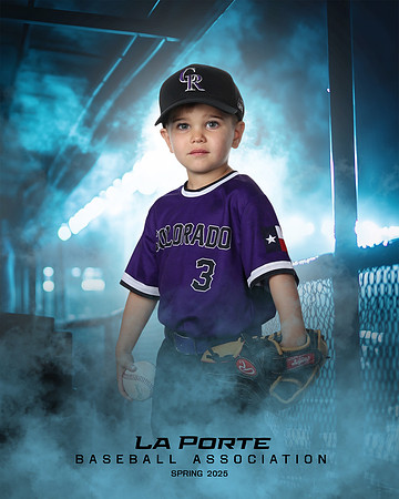4U_Foal_Rockies_Shearfield_Carver_LP010176_DUGOUT