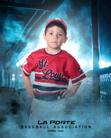 4U_Foal_Cardinals_Totten_William_LP022575_DUGOUT