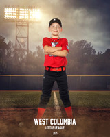 JR MINOR WOODPECKERS_Thomas_Hudson_WC010980_FIELD LIGHTS_