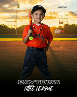 TB_ Astros_Lewis_Nathaniel_BAY28279_SUNSHINE