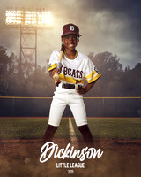 CP8_BOBCATS_Thomas_Jaxon_DLL12323_FIELD LIGHTS_