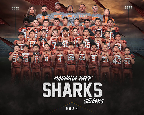 SENIOR TEAM