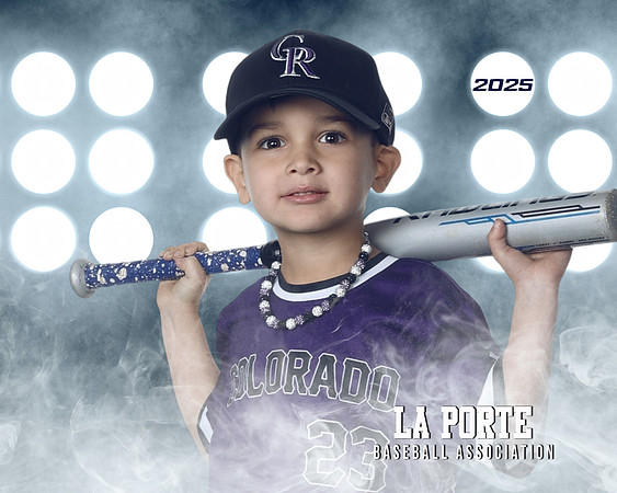 4U_Foal_Rockies_Garcia_Rowan_LP010184_LIT