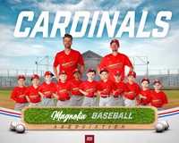 4_5U_Cardinals_Brami_Mason