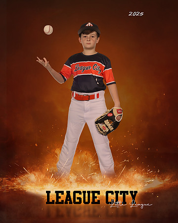 AA.Cowling.Astros_Alvarez_Levi_143A1301_ROF