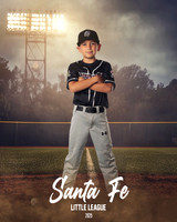 MINORS_WOODPECKERS_Marsolais_Thomas_IMGL9226_FIELDLIGHTS