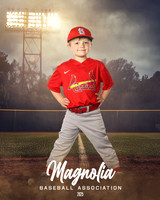 4_5U_Cardinals_Brami_Mason_MAG11653_FIELD LIGHTS_