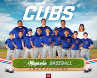 9_10U_Cubs_Wagner_Bremer