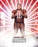 JUNIOR_Sanchez_Fabian_IMGL1396_LAZER_