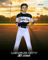 AAA.Bales.WhiteSox_Walters_Carter_143A1139_SUNSHINE