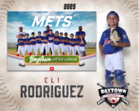 MJR_Mets_Rodriguez_Eli_BAY14154_MM