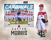 MJR.Powell.Cardinals_Morris_Easton_143A1844_MM