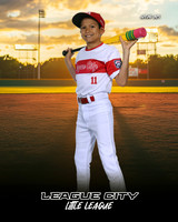 MJR.Powell.Cardinals_Enriquez_Deacon_143A1781_SUNSHINE
