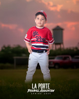 4U_Foal_Cardinals_Totten_William_LP022579_TRUCK
