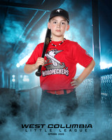 JR MINOR WOODPECKERS_Thomas_Hudson_WC010982_DUGOUT_