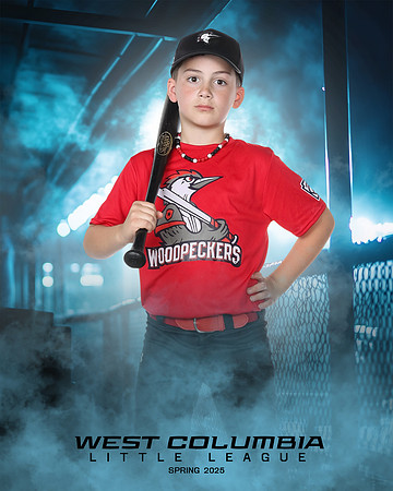JR MINOR WOODPECKERS_Thomas_Hudson_WC010982_DUGOUT_