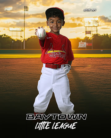 M3_CARDINALS_Hamilton_William_BAY28066_SUNSHINE