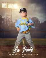 4U_Foal_Rays_OMalley_Atticus_LP010631_FIELDLIGHTS