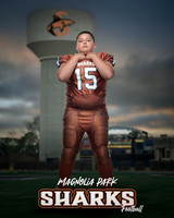JUNIOR_Sanchez_Fabian_IMGL1394_WATER TOWER_