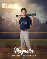 7U_Red Sox_Maple_Max_MAG25004_FIELD LIGHTS_
