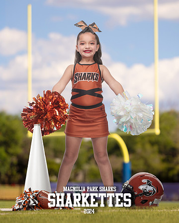 DRILL_Mendez_Miranda_IMGL0458_GOAL POST_