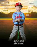 TB_ CARDINALS_Salinas_Alfredo_CAM16432_SUNSHINE