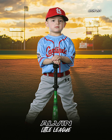 TB_ CARDINALS_Salinas_Alfredo_CAM16432_SUNSHINE