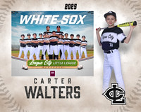 AAA.Bales.WhiteSox_Walters_Carter_143A1142_MM_MM