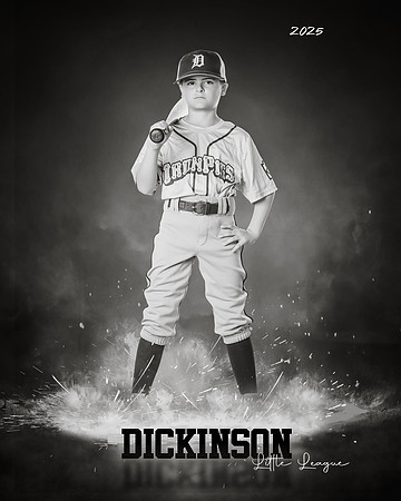 MINORS_IRONPIGS_Suarez_Price_DLL12695_ROF-BW