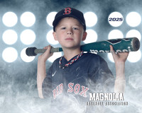 7U_Red Sox_Maple_Max_MAG25004_LIT