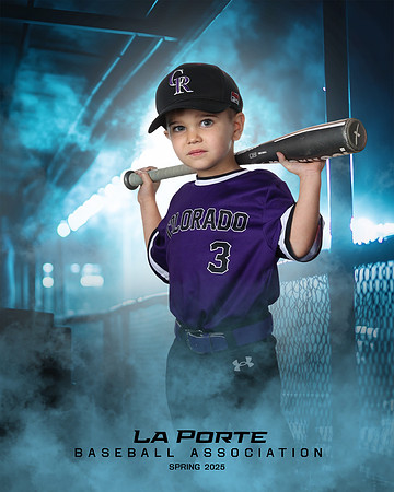 4U_Foal_Rockies_Shearfield_Carver_LP010172_DUGOUT