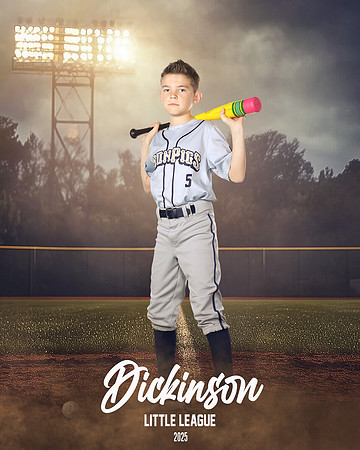 MINORS_IRONPIGS_Garner_Camden_DLL11565_FIELD LIGHTS_