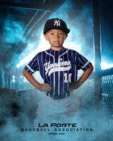 6U_Shetland_Yankees_Menendez_Lucas_LP010038_DUGOUT