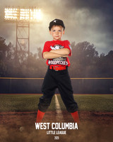 JR MINOR WOODPECKERS_Jenkins_Carter_WC010945_FIELD LIGHTS_