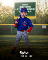 M3_ Cubs_Arana Mendoza_NOAH_BAY12260_SIGN