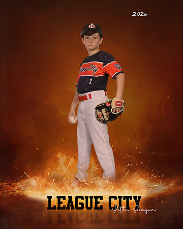 AA.Cowling.Astros_Alvarez_Levi_143A1297_ROF
