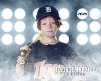 PW_TIGERS_George_Theodore_HN010167_LIT