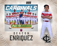 MJR.Powell.Cardinals_Enriquez_Deacon_143A1777_MM