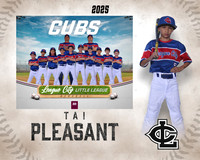 AA.Bentson.Cubs_Pleasant_Tai_143A0474_MM_MM