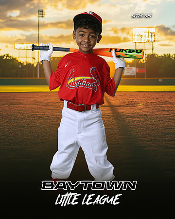 M3_CARDINALS_Hamilton_William_BAY28064_SUNSHINE