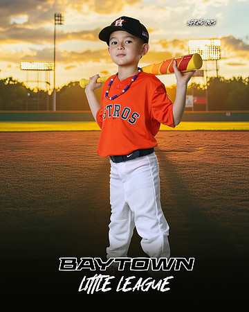 M3_ Astros_Armenta_Alex_BAY29371_SUNSHINE