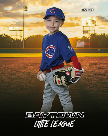 M3_ Cubs_Arana Mendoza_NOAH_BAY12263_SUNSHINE