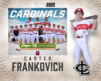 AAA.Lutz.Cardinals_Frankovich_Carter_IMG_1994_MM_MM